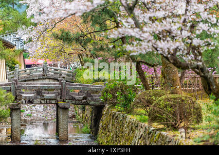 Fiume Arisu canal a Kyoto quartiere residenziale di Arashiyama con molla di fiori di ciliegio fiori lungo acqua con nessuno in aprile e il ponte in pietra Foto Stock