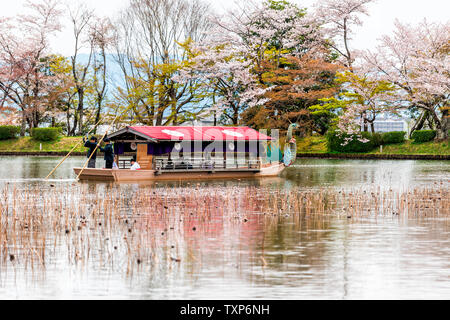 Kyoto, Giappone - 11 Aprile 2019: la fioritura dei ciliegi e Lotus Pond da Osawa-no-ike stagno lago in primavera in area Arashiyama dal Tempio Daikakuji con drago rosso Foto Stock