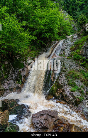 Cascata con il ponte in corrispondenza di cascate Allerheiligen cascata nella foresta nera, Germania Foto Stock