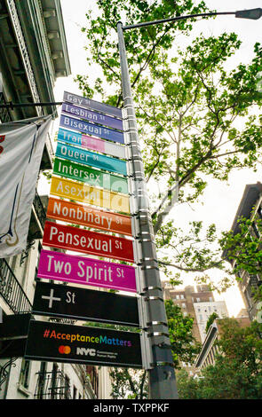 Commemorative segni di strada in corrispondenza dell'intersezione di Gay e Christopher strade nel Greenwich Village di New York lunedì, 17 giugno 2019 la visualizzazione alternativa di identità di genere per Stonewall 50/ World Pride. Sponsorizzato da Mastercard per promuovere il loro "vero nome", iniziativa il cambiamento nel protocollo consente ai membri della comunità LGBTQ per scegliere il loro nome sulle loro carte di credito, di debito o carta prepagata. (© Richard B. Levine) Foto Stock