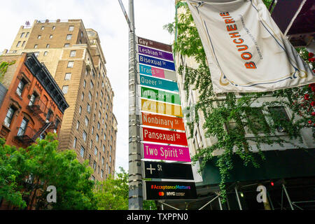 Commemorative segni di strada in corrispondenza dell'intersezione di Gay e Christopher strade nel Greenwich Village di New York lunedì, 17 giugno 2019 la visualizzazione alternativa di identità di genere per Stonewall 50/ World Pride. Sponsorizzato da Mastercard per promuovere il loro "vero nome", iniziativa il cambiamento nel protocollo consente ai membri della comunità LGBTQ per scegliere il loro nome sulle loro carte di credito, di debito o carta prepagata. (© Richard B. Levine) Foto Stock