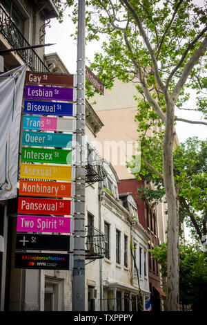 Commemorative segni di strada in corrispondenza dell'intersezione di Gay e Christopher strade nel Greenwich Village di New York lunedì, 17 giugno 2019 la visualizzazione alternativa di identità di genere per Stonewall 50/ World Pride. Sponsorizzato da Mastercard per promuovere il loro "vero nome", iniziativa il cambiamento nel protocollo consente ai membri della comunità LGBTQ per scegliere il loro nome sulle loro carte di credito, di debito o carta prepagata. (© Richard B. Levine) Foto Stock