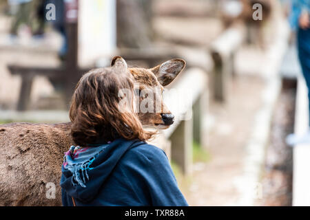 Nara, Giappone - 14 Aprile 2019: persone turista nel centro città vicino al parco petting vicino al cervo Elemosinare il cibo Foto Stock