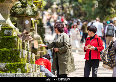 Nara, Giappone - 14 Aprile 2019: persone alimentazione di cervi in Kasuga Taisha e felici donne su strada Foto Stock