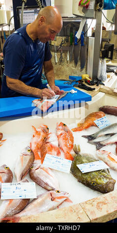 Preparazione del pesce, Lagos mercato del pesce, Algarve, PORTOGALLO Foto Stock