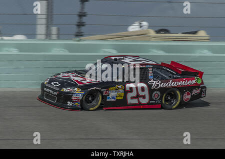 NASCAR Nationwide Series, campionato racer, Kevin Harvick, pratiche al Homestead-Miami Speedway a Homestead, Florida il 16 novembre 2012. .UPI/Joe Marino-Bill Cantrell Foto Stock