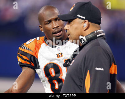 Cincinnati Bengals wide receiver Ochocinco Ciad (85) parla con head coach Marvin Lewis durante il secondo trimestre del loro gioco contro gli Indianapolis Colts a Lucas campo petrolifero di Indianapolis il 14 novembre 2010. UPI /Mark Cowan Foto Stock