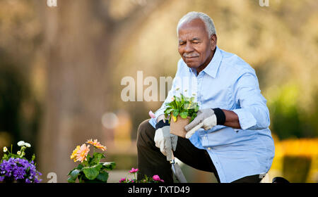 Senior uomo tendente al suo piante in vaso in giardino. Foto Stock
