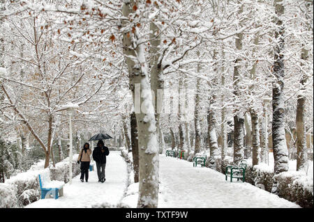 Un giovane iraniana scudi stessi con un ombrello come essi fare una passeggiata attraverso la coperta di neve Laleh Park a Tehran, Iran il 6 gennaio 2008. La neve ricopriva Teheran e molte altre città in tutto il paese che conduce alla chiusura delle scuole e persino in alcune università sia nella capitale e in altre città. Molte strade che conducono a Teheran e la maggior parte delle strade di tutto il paese e in particolare nel nord, nord-ovest e le parti occidentali, sono state bloccate a causa delle pesanti nevicate e bufere di neve. Lo stato compagnie di aviazione (HOMA) annullato tutti i voli nazionali fino a metà giornata di domenica, IRNA r Foto Stock