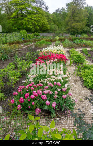 Giardini di Chatsworth House, Bakewell, Derbyshire, Inghilterra, Regno Unito. Foto Stock