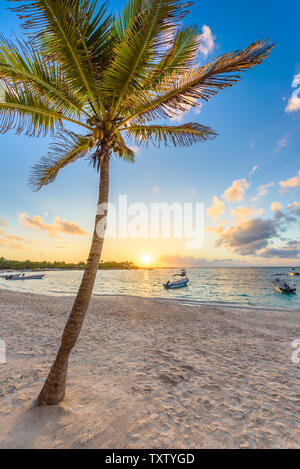 Akumal bay - Caraibi spiaggia bianca in Riviera Maya, costa dello Yucatan e Quintana Roo, Messico Foto Stock
