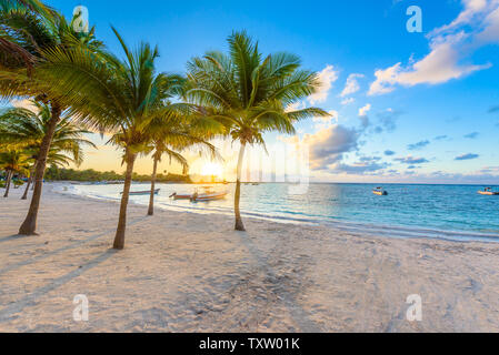 Akumal bay - Caraibi spiaggia bianca in Riviera Maya, costa dello Yucatan e Quintana Roo, Messico Foto Stock