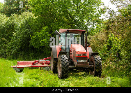 Ballydehob, West Cork, Irlanda. Il 25 giugno, 2019. Durrus basato agricoltore Michael Pat Ward taglia erba per insilato. Il silaggio sarà salvato domani. L'Irlanda è in attesa di un mini ondata di caldo per il resto della settimana con temperature presumibilmente colpisce il alta 20°'s. Credito: Andy Gibson/Alamy Live News. Foto Stock