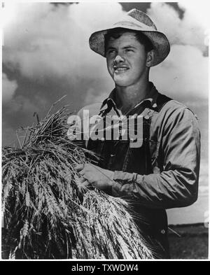 Alton Lee trasporta una scarica di grano attraverso i vasti campi della fattoria Saugstad dove lavora da sunrise a lungo dopo il tramonto per aiutare il lettore RUSH più Cibo di Nazioni Unite " lotta contro gli uomini di tutto il mondo. Foto Stock