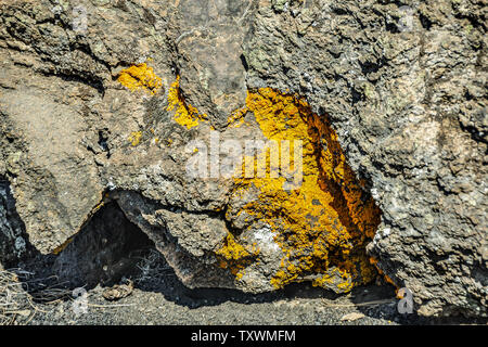 La texture crepa nella roccia su cui cresce muschi e licheni. Tipico materiale di lava intorno al vulcano Teide. Chiudere il fuoco selettivo. Tenerife, Canarie Islan Foto Stock