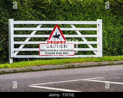 Attraversamento dei cavalli da corsa - Attenzione ai cavalli da corsa attraversando la preghiamo di dare modo segno di driver di avvertimento per prendersi cura di Newmarket Suffolk REGNO UNITO, HQ della British Horseracing Foto Stock