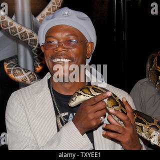 Membro del cast Samuel L. Jackson gestisce Kitty Jr., un pitone birmano, alla premiere di 'Snakes su un piano a Grauman's Chinese Theater nella sezione di Hollywood di Los Angeles, la California il 17 agosto 2006. Il filmato si apre negli Stati Uniti il 18 agosto. (UPI foto/Jim Ruymen) Foto Stock