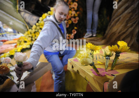 Volontari luogo fiori freschi sul galleggianti come preparazioni sono fatte per il centoventesimo Rose Parade di Pasadena, in California, il 30 dicembre 2008. Quest'anno la sfilata è a tema Hats Off to entertainment e si terrà il 1 gennaio 2009. (UPI Photo/ Phil McCarten) Foto Stock