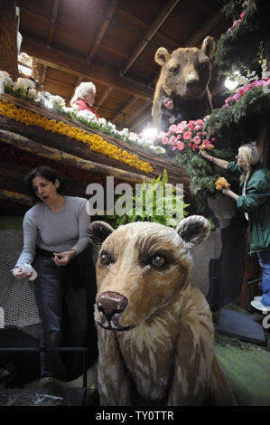 Volontari luogo fiori freschi sul galleggianti come preparazioni sono fatte per il centoventesimo Rose Parade di Pasadena, in California, il 30 dicembre 2008. Quest'anno la sfilata è a tema Hats Off to entertainment e si terrà il 1 gennaio 2009. (UPI Photo/ Phil McCarten) Foto Stock