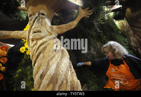 Volontari luogo fiori freschi sul galleggianti come preparazioni sono fatte per il centoventesimo Rose Parade di Pasadena, in California, il 30 dicembre 2008. Quest'anno la sfilata è a tema Hats Off to entertainment e si terrà il 1 gennaio 2009. (UPI Photo/ Phil McCarten) Foto Stock