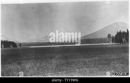 Elk Lake gamma, Deschutes foresta, Oregon, 1922; Note Generali: prato umido asciugare velocemente fino, sul bordo SW del grande lago di lava presso la stazione di ranger. Carici, Bunchgrass, Rush, Hairgrass e Retop costituiscono la maggior parte del foraggio. Foto Stock