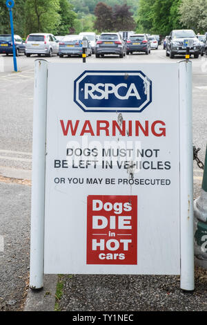 RSPCA,cani,die,a,hot,automobili,.Non lasciare il cane in calore,l'estate,attenzione,a,Ambleside,il Lake District,Lake District,Laghi,Laghi,Cumbria,l'Inghilterra,UK, Foto Stock