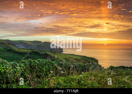 Bossiney Cove, North Cornwall, Inghilterra. Lunedì 24 Giugno 2019. Regno Unito Meteo. Dopo una calda giornata d'estate in North Cornwall, il sole che illumina il b Foto Stock