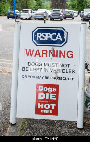 RSPCA,cani,die,a,hot,automobili,.Non lasciare il cane in calore,l'estate,attenzione,a,Ambleside,il Lake District,Lake District,Laghi,Laghi,Cumbria,l'Inghilterra,UK, Foto Stock
