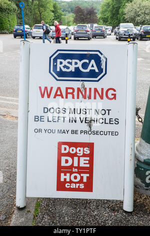 RSPCA,cani,die,a,hot,automobili,.Non lasciare il cane in calore,l'estate,attenzione,a,Ambleside,il Lake District,Lake District,Laghi,Laghi,Cumbria,l'Inghilterra,UK, Foto Stock