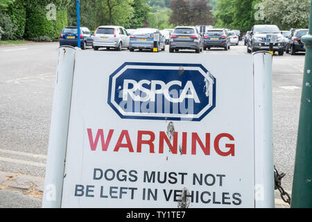 RSPCA,cani,die,a,hot,automobili,.Non lasciare il cane in calore,l'estate,attenzione,a,Ambleside,il Lake District,Lake District,Laghi,Laghi,Cumbria,l'Inghilterra,UK, Foto Stock