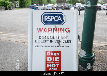 RSPCA,cani,die,a,hot,automobili,.Non lasciare il cane in calore,l'estate,attenzione,a,Ambleside,il Lake District,Lake District,Laghi,Laghi,Cumbria,l'Inghilterra,UK, Foto Stock