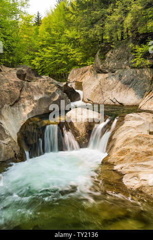 Warren scende su Mad River, Green Mountain National Forest, Washington County, Vermont Foto Stock