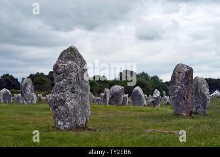 Allineamenti di Carnac Foto Stock