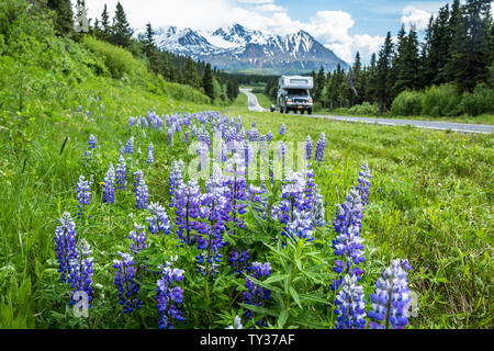 Un camioncino con un camper in cima rotola giù il Richardson autostrada nel Delta montagne di remote Alaska. RVers fuori campeggio in primavera. Foto Stock