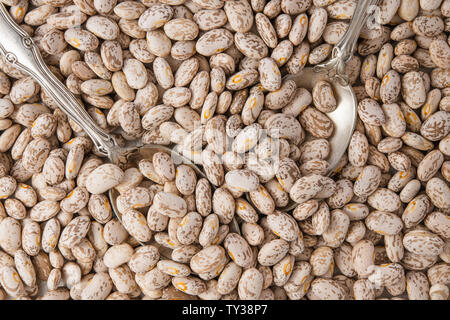 Fagioli Pinto Close Up Top View, cibo sfondo, fagioli secchi, legumi Foto Stock