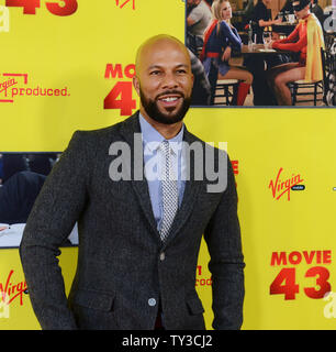 Comune, un membro del cast in motion picture comedy 'MOVIE 43', assiste la premiere del film al TCL teatro cinese nella sezione di Hollywood di Los Angeles il 23 gennaio 2013. UPI/Jim Ruymen Foto Stock