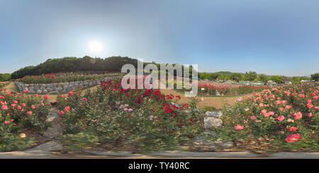 Visualizzazione panoramica a 360 gradi di Ansan, Corea del Sud - 12 giugno 2019. Panorama a 360 gradi vista parco. Foresta e parco 360 immagine, VR AR contenuto.