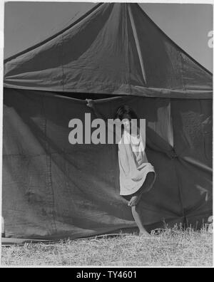 Farm Security Administration: lavoratori migranti nasce in una raccoglitrice di pisello camp vicino Stocklon, California Foto Stock