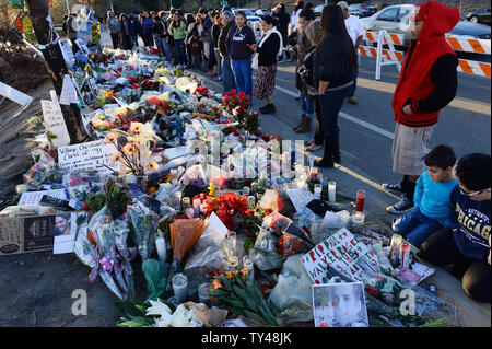 Tifosi si riuniscono a un memoriale di Fortuna a pagare rispetta presso il sito di fiery incidente di auto in cui l'attore Paul Walker è stato ucciso in Santa Clarita, California, il 4 dicembre 2013. Ventilatori e compagno di attori in lutto per la morte di Paul Walker, morto in una vettura fiery crash sabato 1 dicembre, 2013. Walker, 40, che era meglio noto come agente infiltrato Brian O Connor in "veloce e furioso' film d'azione, apparso in tutti ma uno dei sei film nel popolare franchise, ed è stato un leader protagonista lungo con Vin Diesel e Michelle Rodriguez. UPI/Jim Ruymen Foto Stock