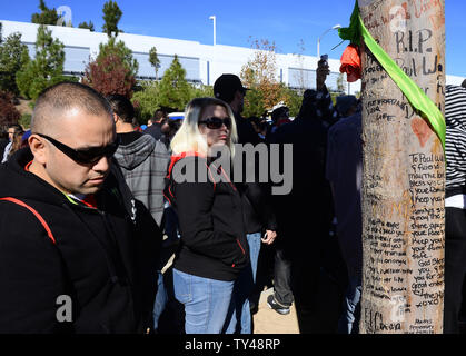 I fan e gli appassionati di auto Visualizzare il memorial omaggio a "veloce e furioso' attore Paul Walker in Santa Clarita, la California il 8 dicembre 2013. Un memoriale di rally e auto cruise è stato organizzato dai fan vicino al sito di fiery crash auto in cui Walker e amico Roger Rodas è morto il 30 novembre. UPI/Jim Ruymen Foto Stock