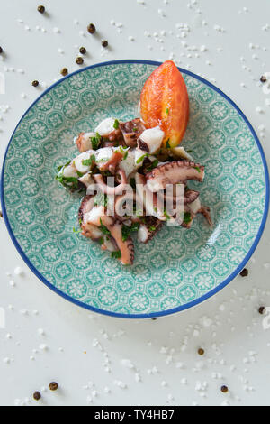 Vista dall'alto di insalata di polpo, piatti tipici mediterranei, su sfondo bianco con pepe nero e sale marino Foto Stock