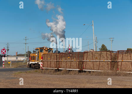 Caricate completamente la canna da zucchero treno in arrivo al mulino Millaquin Bundaberg Queensland Australia Foto Stock