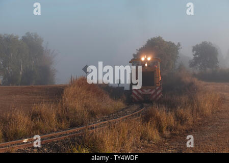 Caricate completamente la canna da zucchero treno tornando al mulino Millaquin Bundaberg Queensland Australia Foto Stock