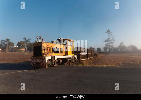 Caricate completamente la canna da zucchero treno tornando al mulino Millaquin Bundaberg Queensland Australia Foto Stock