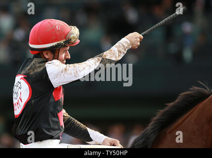 Il Texas Red cavalcato da Kent Desormeaux vince il Breeders Cup capretti al 2014 Breeders Cup Campionati del Mondo a Santa Anita Park in Arcadia, California il 1 novembre 2014. UPI/Jonathan Alcorn Foto Stock