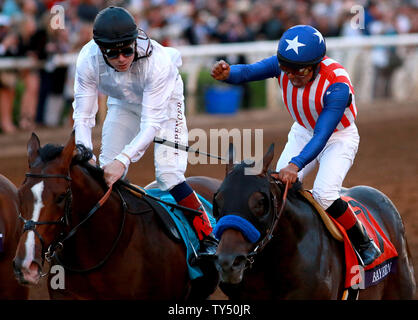 Il Bayern (destra) cavalcato da Martin Garcia vince la Breeders Cup Classic come Toast di New York cavalcato da Jamie Spencer ha terminato secondo a 2014 Breeders Cup Campionati del Mondo a Santa Anita Park in Arcadia, California il 1 novembre 2014. UPI/Jonathan Alcorn Foto Stock