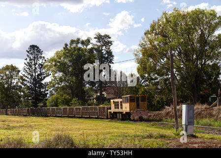 Caricate completamente la canna da zucchero treno passa attraverso Cordalba vicino a Childers Queensland Australia Foto Stock