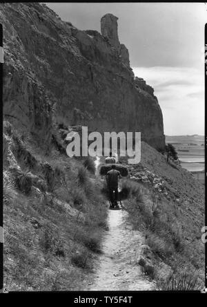 Alaggio balle di fieno su vettori di cervi, campo di applicazione e il contenuto: portandole al piede del bluff per il sollevamento verso l'alto. Foto Stock