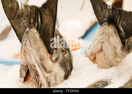Un salmone fresco e somepackeged prodotti in vendita mostrando una coda bloccata in una bocca del pesce alla Granville Island il mercato pubblico, Vancouver, Canada. Foto Stock