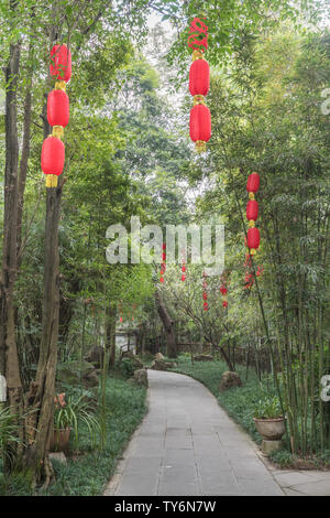 Foresta di Bamboo prugna Fiore strada prato in primavera a Chengdu, Cina Foto Stock